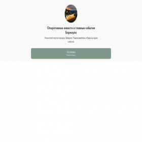 Скриншот главной страницы сайта barnaulinfonews.tilda.ws