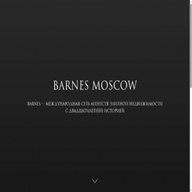 Скриншот главной страницы сайта barnesrussia.ru
