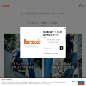 Скриншот главной страницы сайта barracudashoes.it