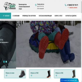 Скриншот главной страницы сайта bars-profi.ru