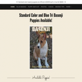 Скриншот главной страницы сайта basenjidogs.dog