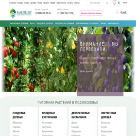 Скриншот главной страницы сайта baserelief.ru