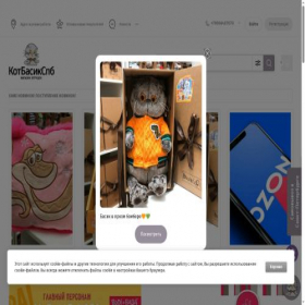 Скриншот главной страницы сайта basik-shop.ru