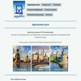Скриншот главной страницы сайта baudit.spb.ru