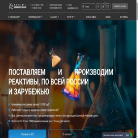 Скриншот главной страницы сайта baza1r.ru