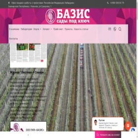Скриншот главной страницы сайта baziskbr.ru