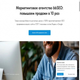 Скриншот главной страницы сайта bbseo.ru
