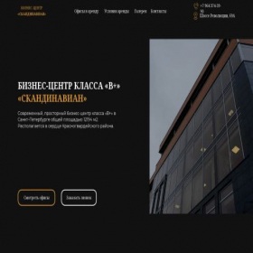 Скриншот главной страницы сайта bcscandinavian.ru