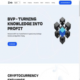 Скриншот главной страницы сайта bcventures.pro