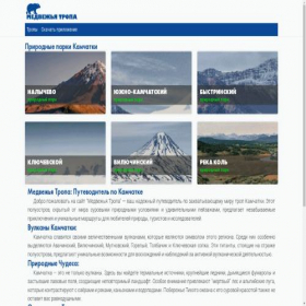 Скриншот главной страницы сайта beartrack.ru