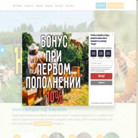 Скриншот главной страницы сайта bee-paceka.ru