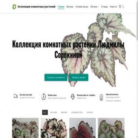 Скриншот главной страницы сайта begonia-shop.ru