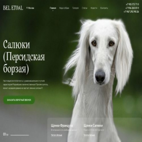 Скриншот главной страницы сайта bel-etual.com
