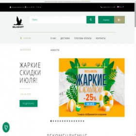 Скриншот главной страницы сайта belashoff.ru