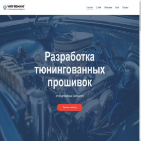 Скриншот главной страницы сайта beletskychiptuning.ru
