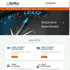 Скриншот главной страницы сайта belfin.ru