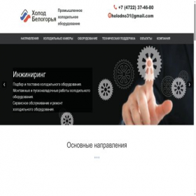 Скриншот главной страницы сайта belholod.ru