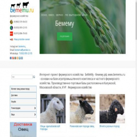 Скриншот главной страницы сайта bememu.ru