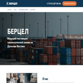 Скриншот главной страницы сайта bercel.ru
