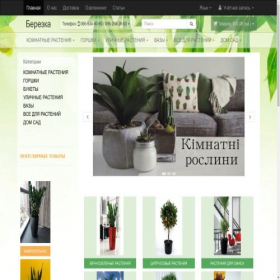 Скриншот главной страницы сайта berezka-kiev.com