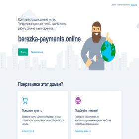 Скриншот главной страницы сайта berezka-payments.online