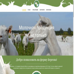 Скриншот главной страницы сайта berezka46.ru