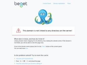 Скриншот главной страницы сайта bergboost.ru