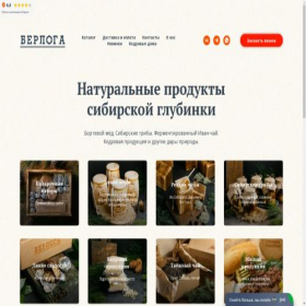 Скриншот главной страницы сайта berrrloga.ru