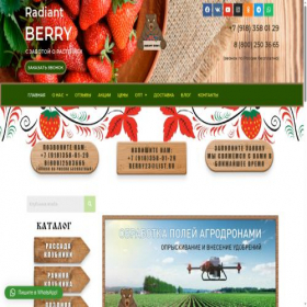 Скриншот главной страницы сайта berry23.ru