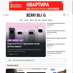 Скриншот главной страницы сайта berryblog.ru