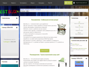 Скриншот главной страницы сайта bestbux.ru