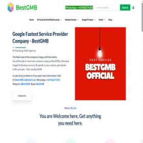 Скриншот главной страницы сайта bestgmb.com
