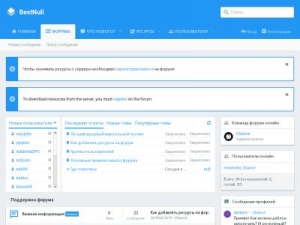 Скриншот главной страницы сайта bestnull.info