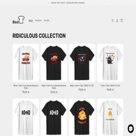 Скриншот главной страницы сайта bestshirts.pl