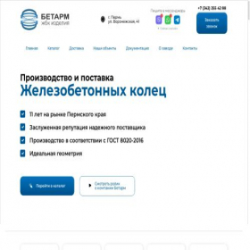 Скриншот главной страницы сайта betarm.ru