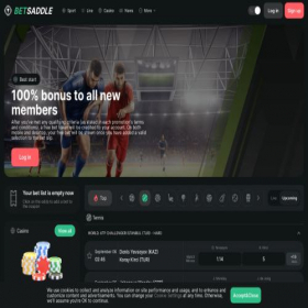 Скриншот главной страницы сайта betsaddle.com