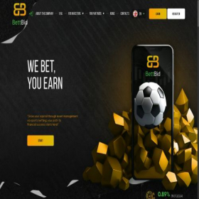 Скриншот главной страницы сайта bettbid.biz