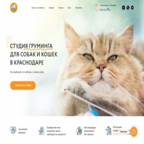 Скриншот главной страницы сайта bezmeha.ru