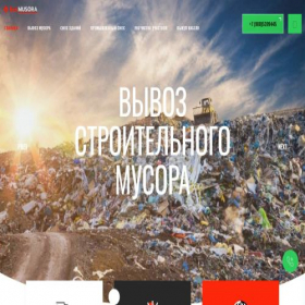 Скриншот главной страницы сайта bezmusora161.ru