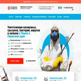 Скриншот главной страницы сайта beznasekomyh59.ru