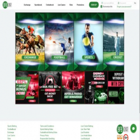 Скриншот главной страницы сайта bfb247.com