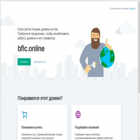 Скриншот главной страницы сайта bflc.online