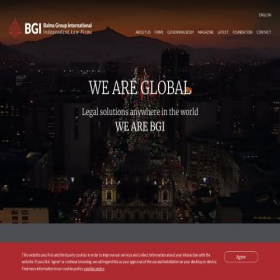 Скриншот главной страницы сайта bgi-law.com