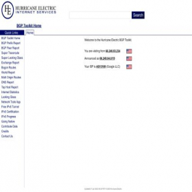 Скриншот главной страницы сайта bgp.he.net