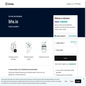 Скриншот главной страницы сайта bhs.io