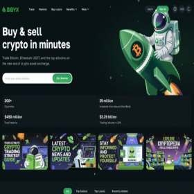 Скриншот главной страницы сайта bibyx.com