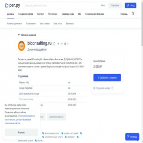 Скриншот главной страницы сайта biconsalting.ru