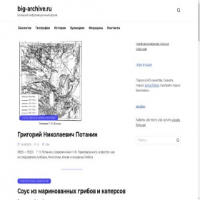 Скриншот главной страницы сайта big-archive.ru
