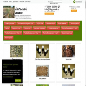 Скриншот главной страницы сайта big-penek.ru