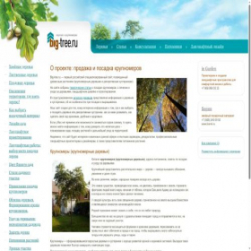 Скриншот главной страницы сайта big-tree.ru